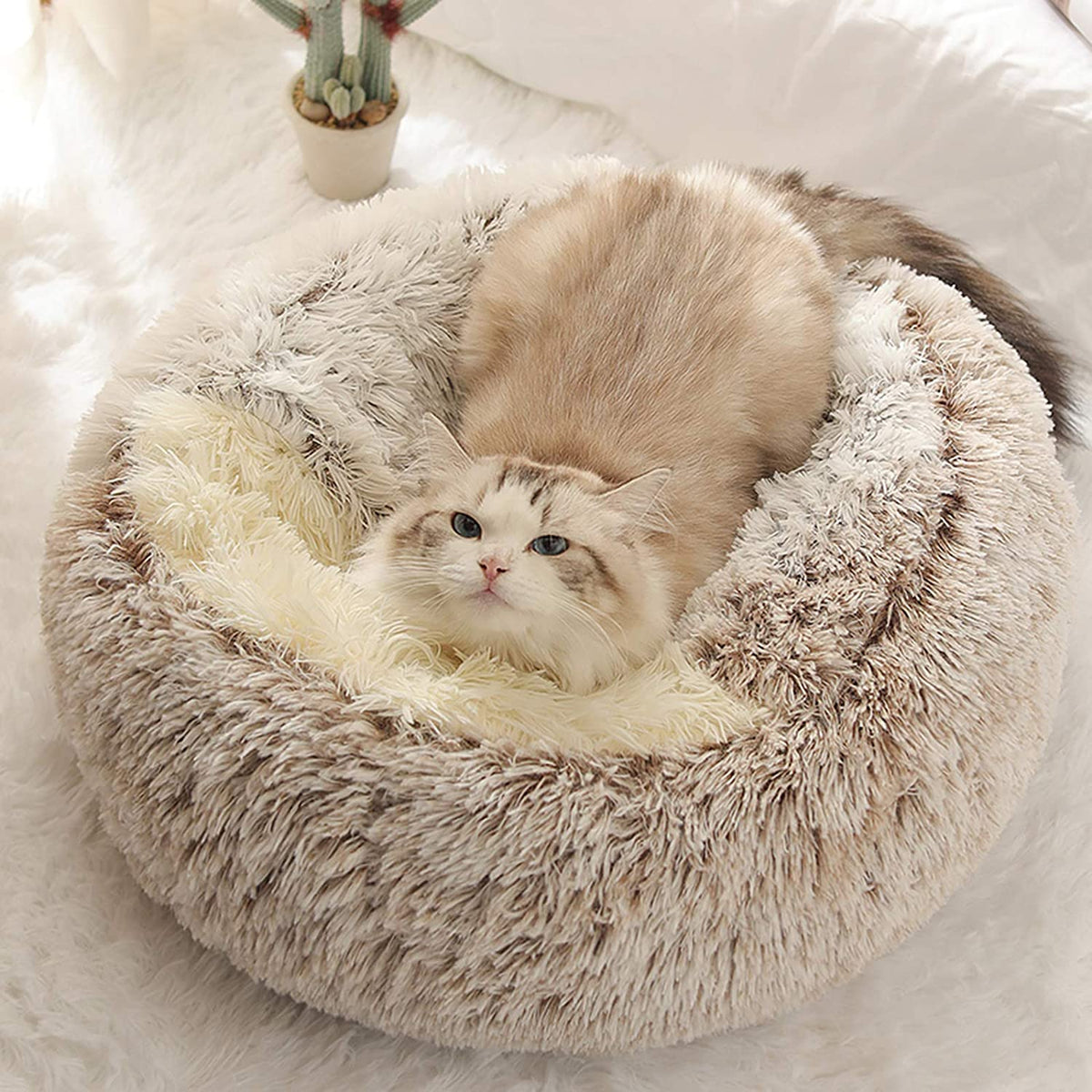 Warm Winter Lodge-Style: Plush 2-in-1 Cat Nest & Bed for Cozy Comfort