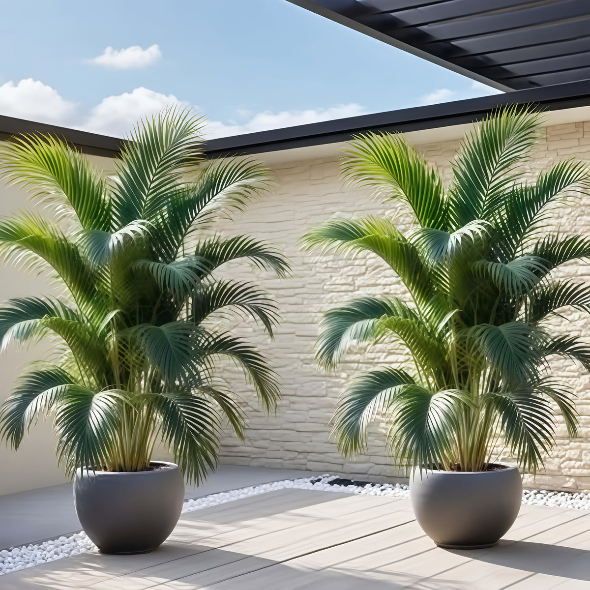 2pcs Large Outdoor Artificial Faux Palm Tree with 24 Leaves, Tropical Rainforest Maple Modern Decor - Suitable for Weddings Gardens, Festivals, Thanksgiving, Halloween, Christmas, Oktoberfest, Grandparents Day, Porch, Office, Courtyard, Patio, Living